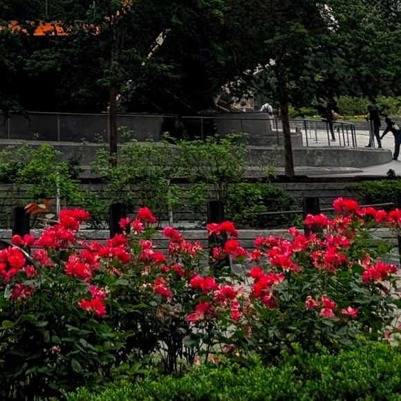 Meet your Posher, Cam - Picture 1 of 1